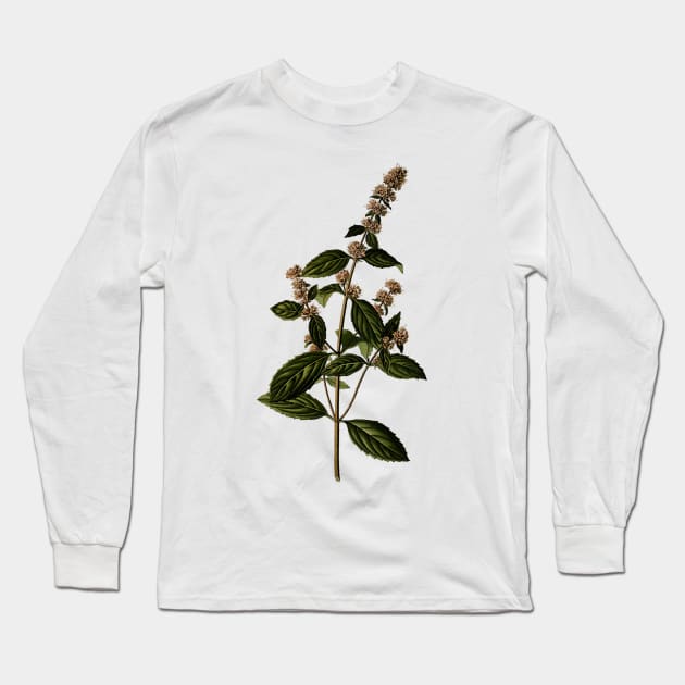 Herbal Flower Branch Long Sleeve T-Shirt by luckylucy